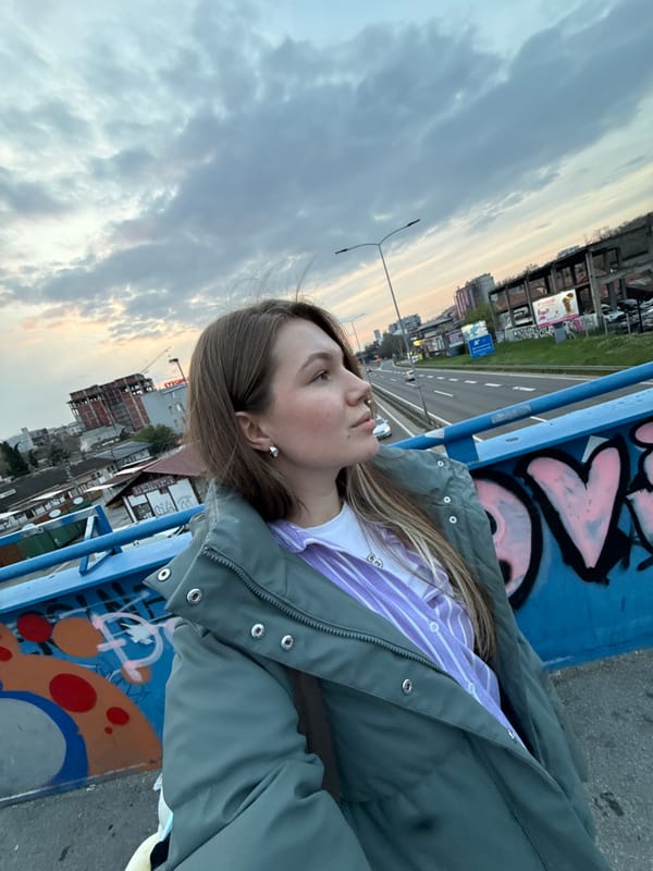 Evening scenes captured in Belgrade suburb show bridge portrait, traffic