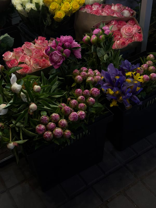 Evening shopping scenes documented across Yerevan commercial districts