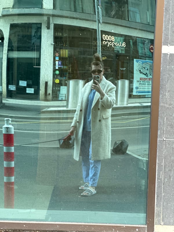 Small decorated dog walked through downtown Tbilisi streets