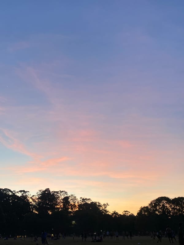 Young women enjoy sunset picnic gathering in São Paulo