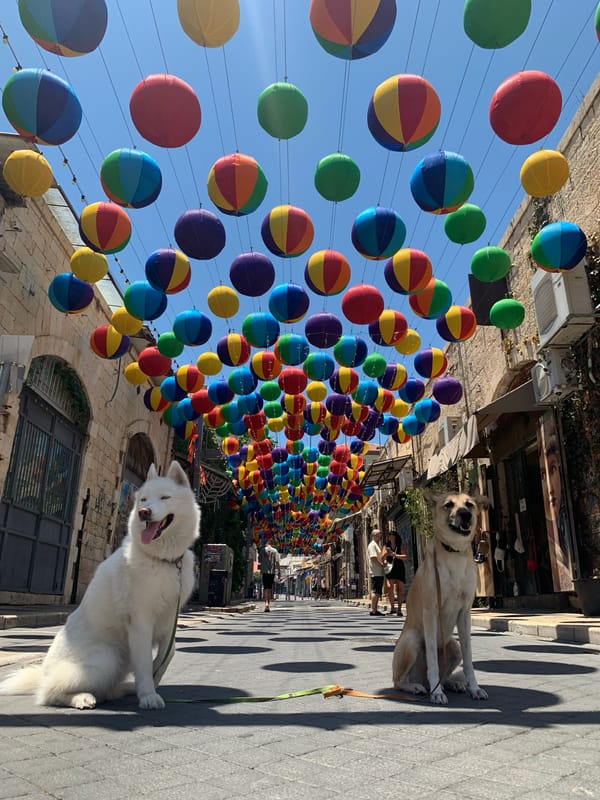 Colorful lanterns line a festive Tel Aviv street