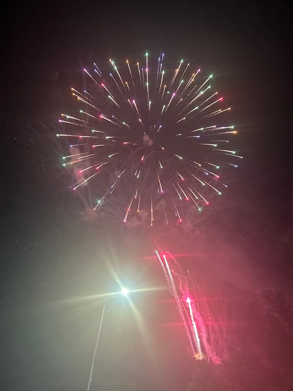 Colorful fireworks burst across a dark night sky