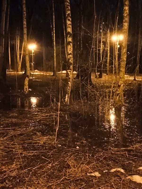 Nighttime scenes captured in Khimki featuring illuminated restaurant and flooded trees