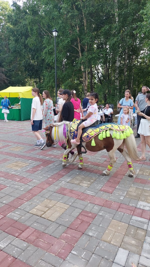 Park event in Komsomolsk-on-Amur with pony rides and craft vendors