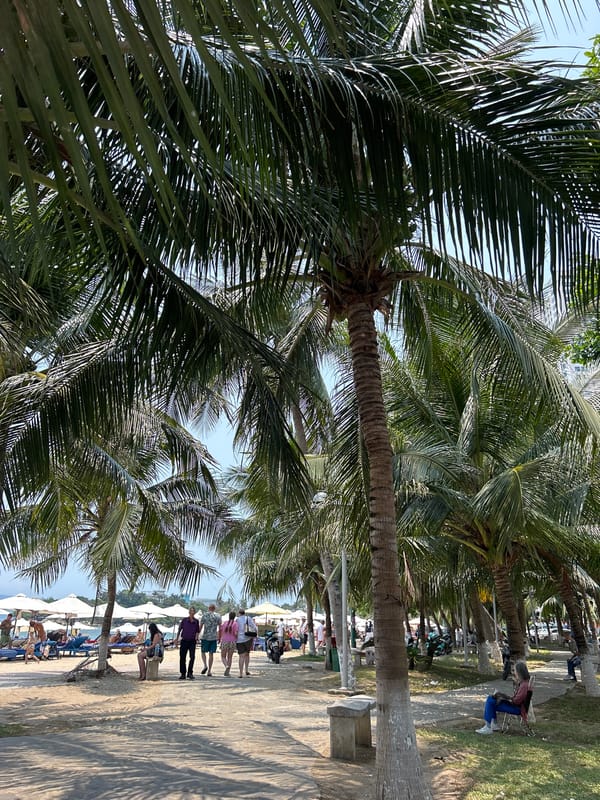 Witness documents leisurely beach life in Nha Trang, Vietnam