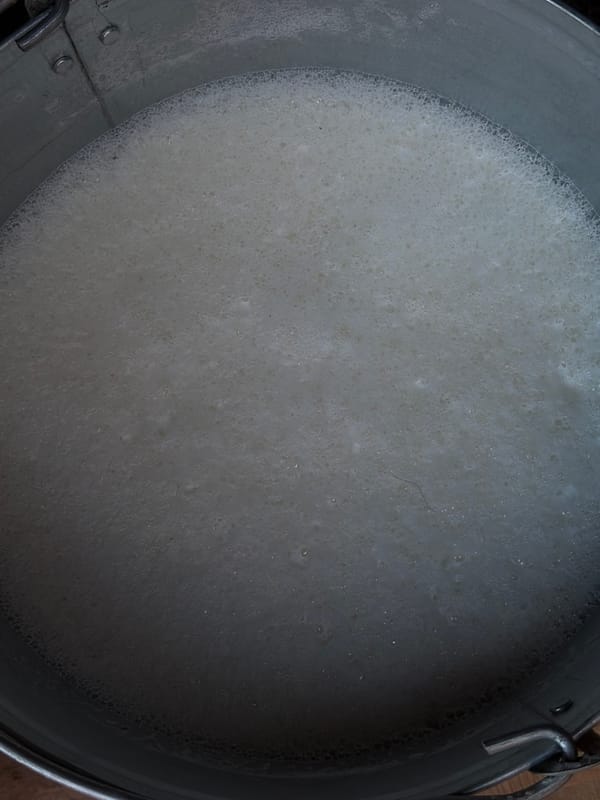Foamy white liquid observed in metal bucket in rural Russia