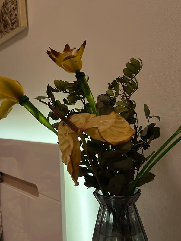 Evening bedroom moments captured in warm lamplight over 45 minutes