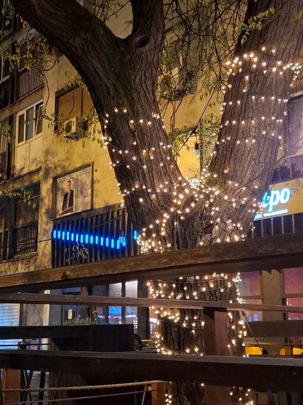 Evening scenes captured around Novi Sad restaurant district