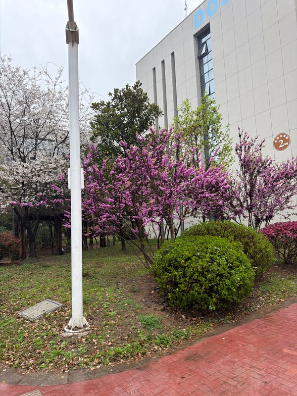 Rainy day scenes documented across Jiangning District, China