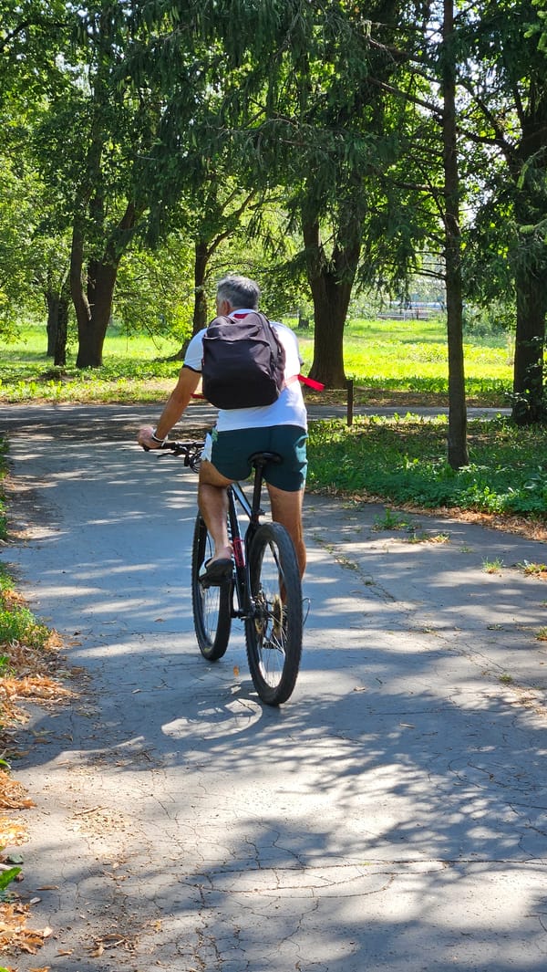 Sunny morning in a Prešov park, cycling and wildlife