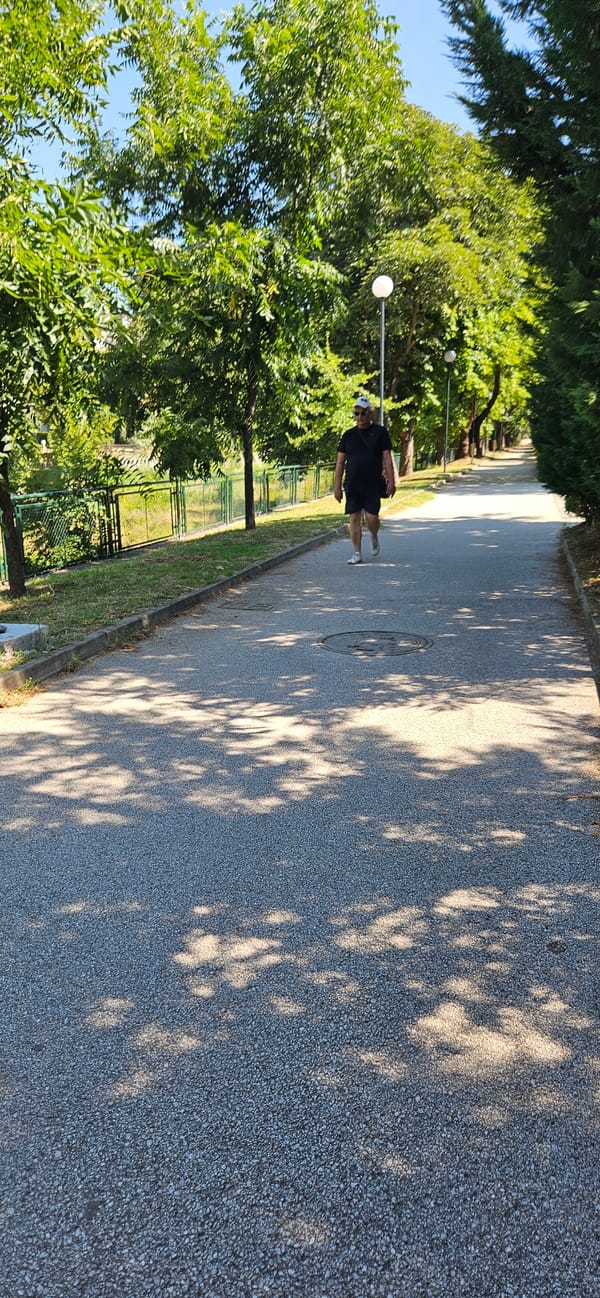 Summer morning stroll through a tree-lined Blagoevgrad park