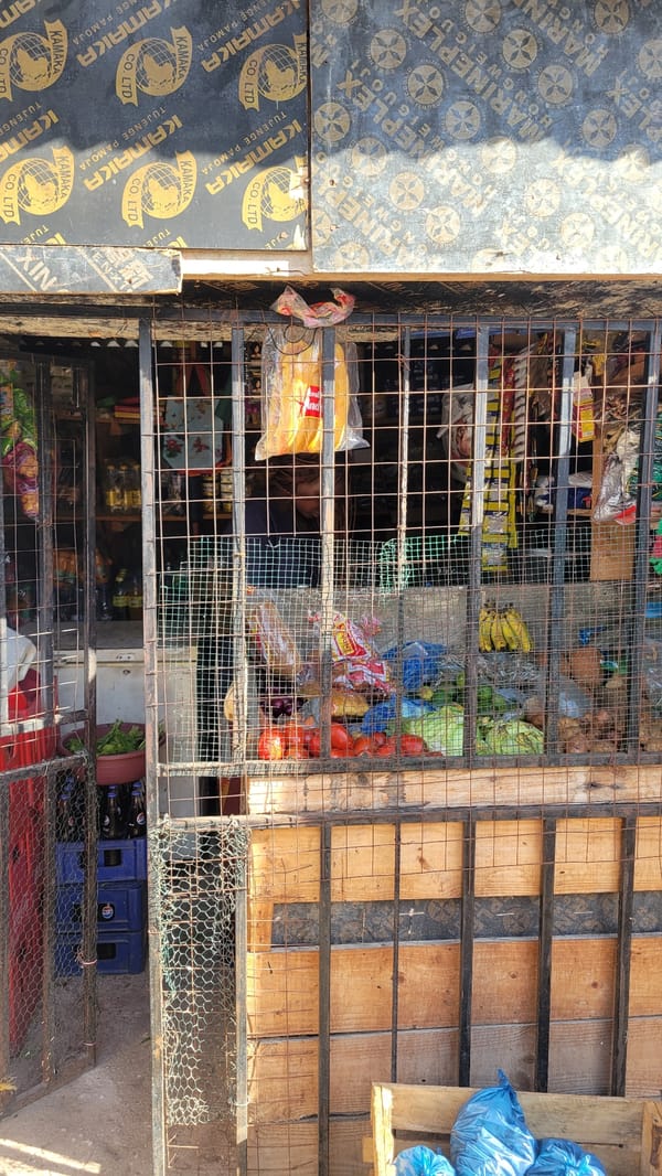 Street stall and roaming geese in dusty Dar es Salaam