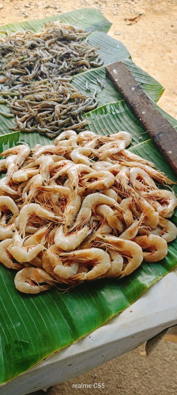 Fresh seafood market display captured in Lhokseumawe, Indonesia