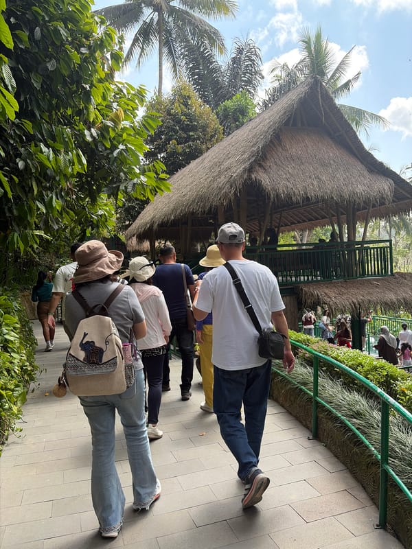 Tourist café and rice terrace attraction buzzing in Tegallalang, Bali