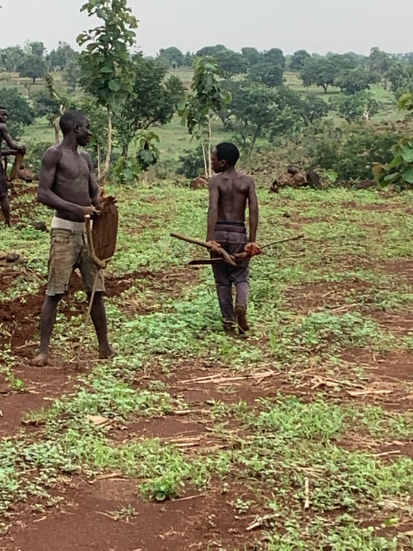 Morning farming activity observed in Agban, Nigeria fields