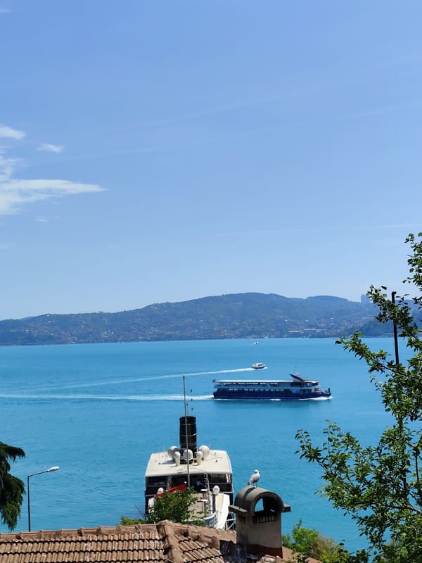 Morning scenes from Sarıyer parks and Bosphorus viewpoints