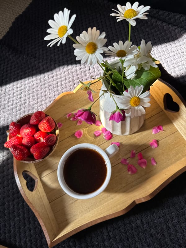 Neatly arranged breakfast tray at a Great Yarmouth home