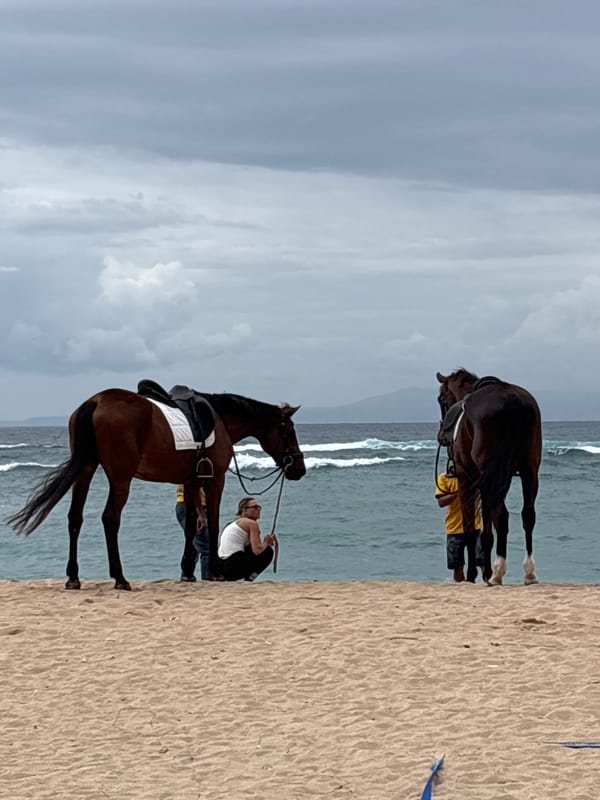 Saddled horses on a cloudy Kuta Selatan beach