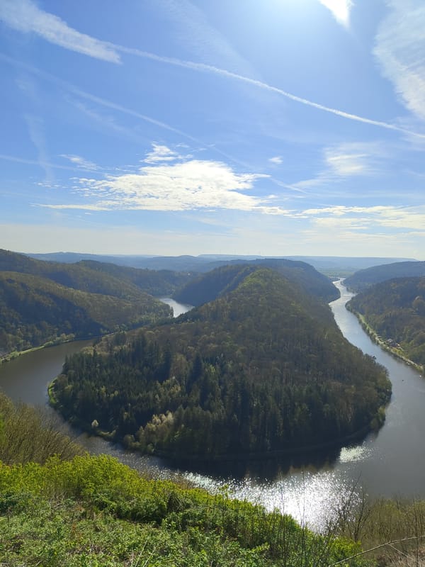 Morning visitor documents spring walk at Germany's Saar River loop