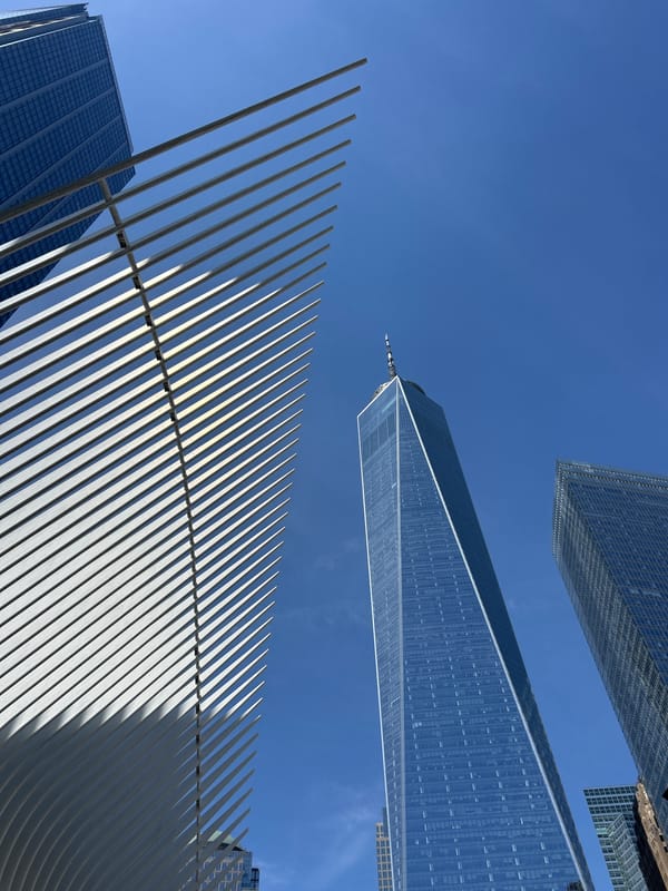 Witness photographs NYC skyline from World Trade Center area