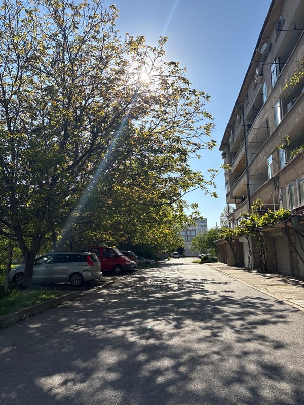 Ordinary street scenes documented across unknown neighborhood Monday afternoon