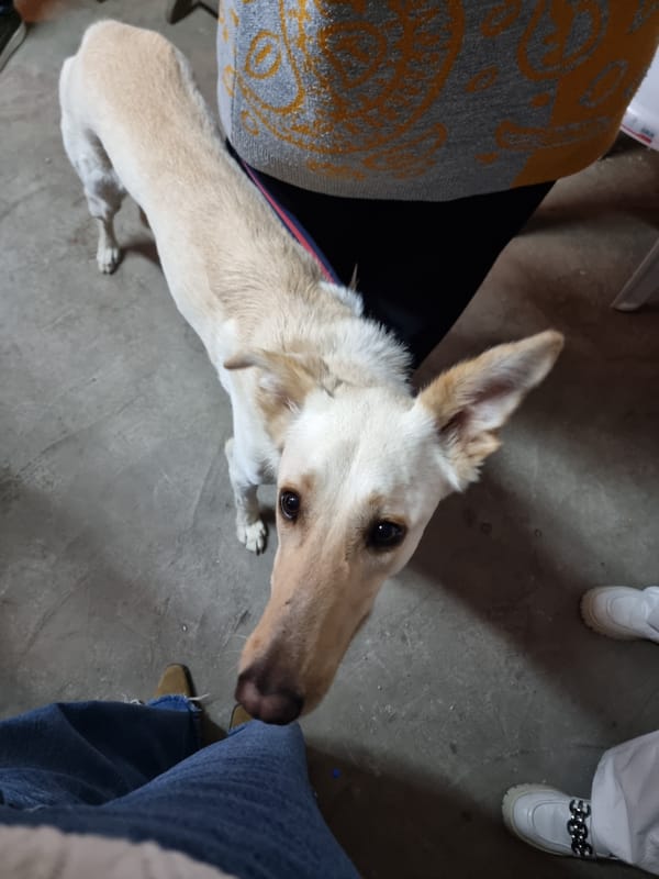 Tel Aviv residents observe Passover traditions amid evening cityscape