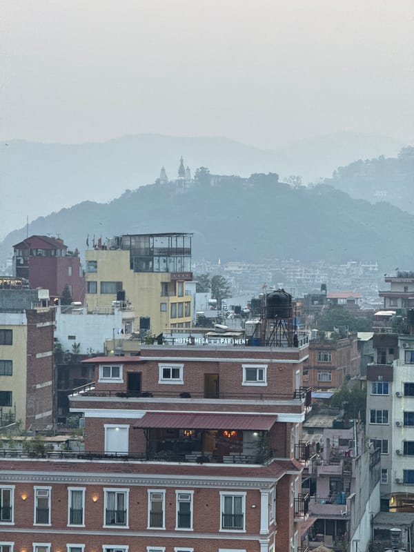 Spring blooms and urban views captured in Kathmandu