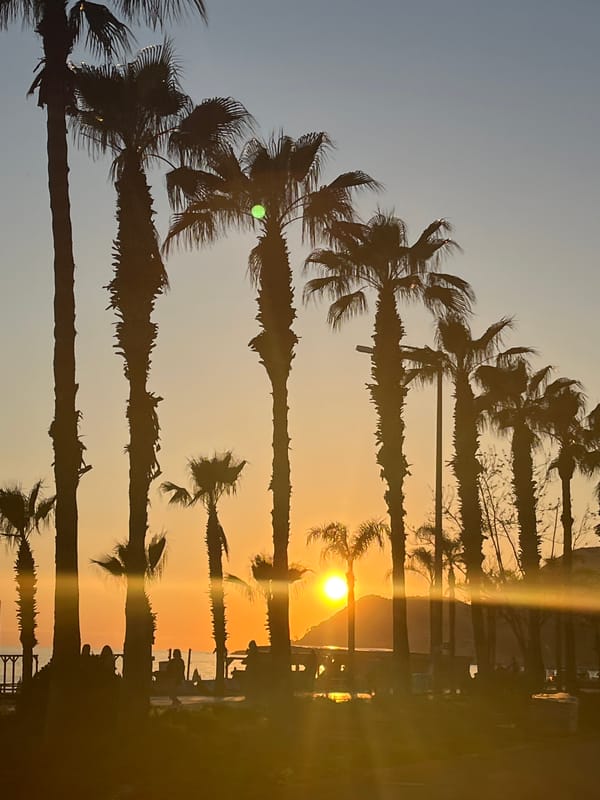Sunset captured along palm-lined Alanya coast