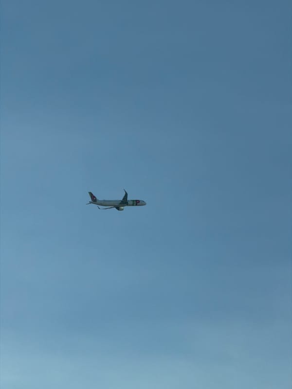Aircraft photographed in vertical flight orientation over Loures, Portugal