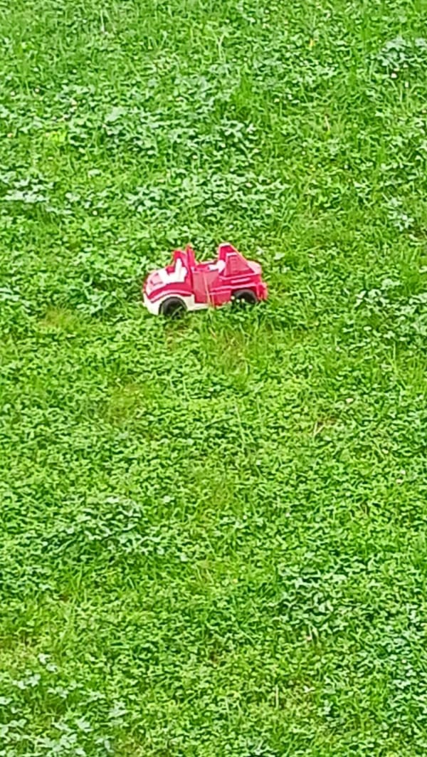 Red toy truck spotted in grassy outdoor area