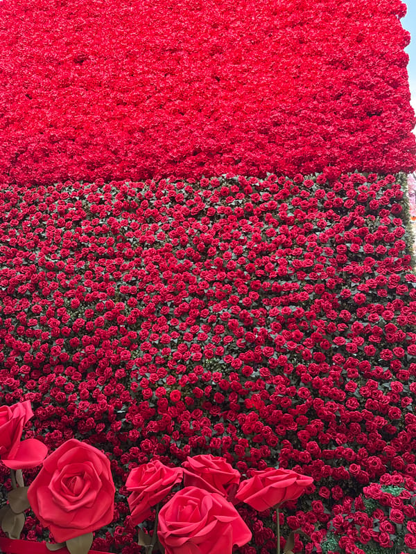 Exploring decorative installations at Yiwu entertainment complex