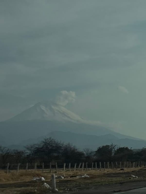 Rural landscape documented in Amilcingo, Mexico