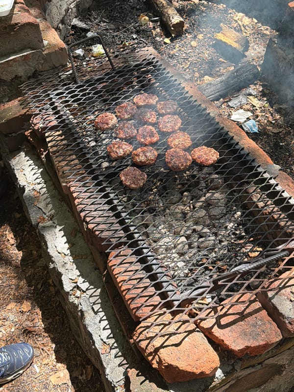 Forest gathering with barbecue and shelter exploration near Sofia