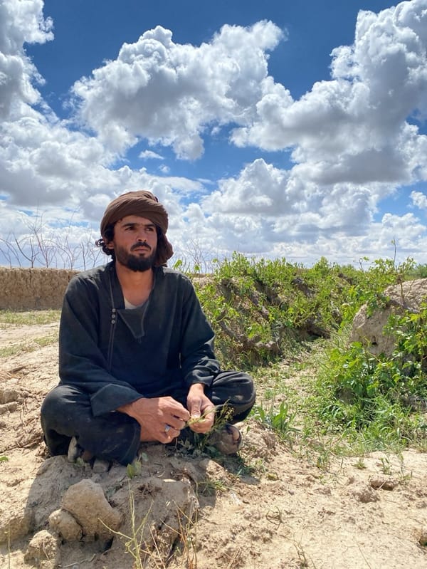 Afghan farmer observed in fields near Qazi Kariz