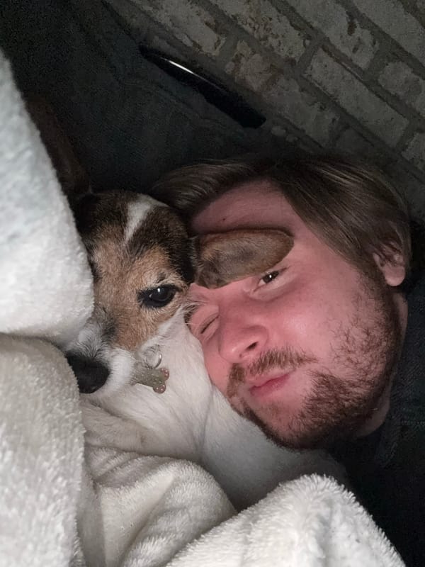 Chill night in with a dog and soccer on TV