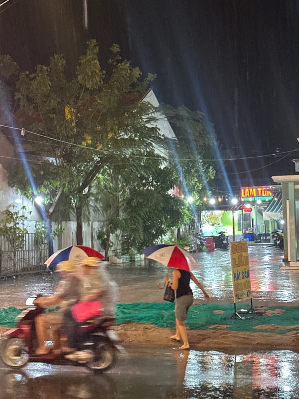 Rain-soaked streets observed in Phu Thuy Ward, Vietnam