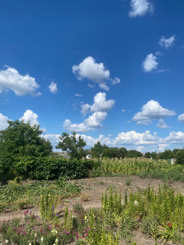 A flourishing summer garden in rural Ustyvytsia, Ukraine