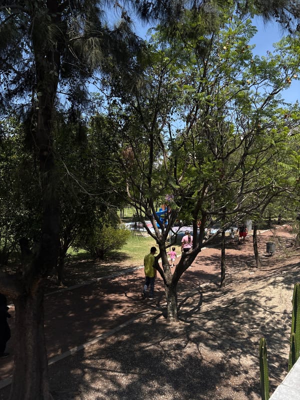 Everyday moments captured around Puebla including gardens and gatherings