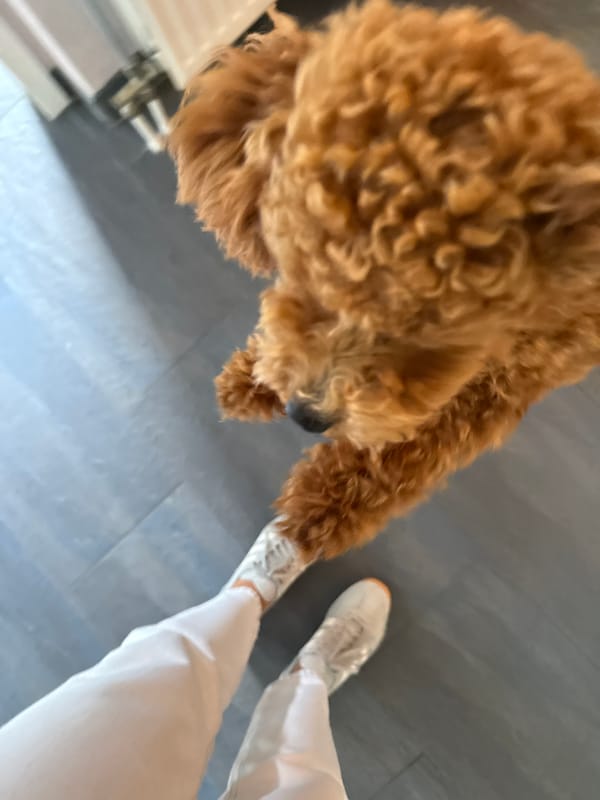 White sneakers with orange accents on a gray floor in Marum