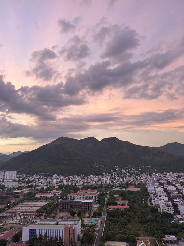 Dusk city views and flower bouquets from a coastal mountain town