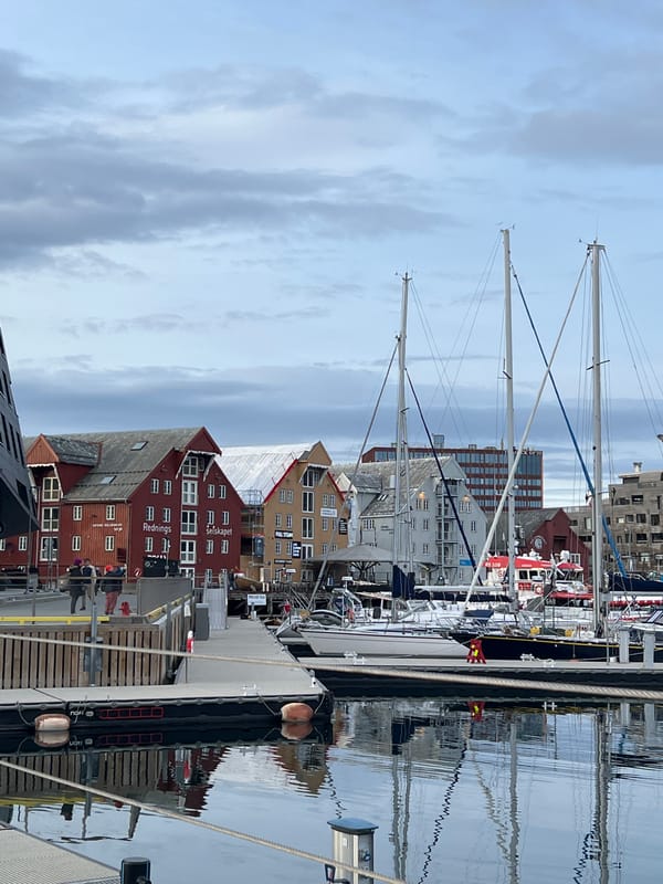Ordinary harbor life documented in Tromsø marina