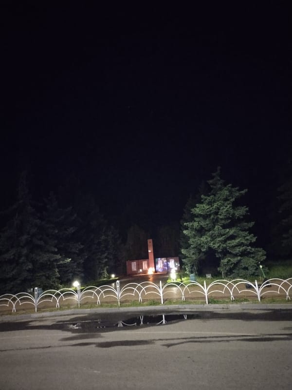 Evening dog walk documented through Horishni Plavni park, Ukraine