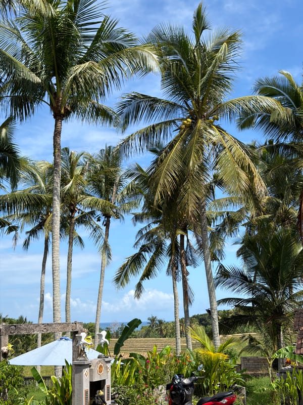 Rural Indonesian morning captured in 26 everyday moments