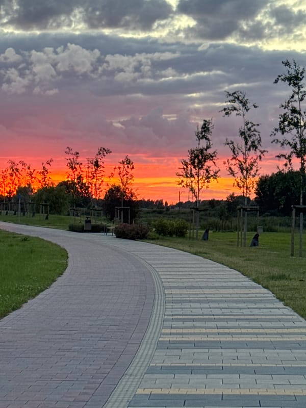 Curved cobblestone path leads into a green park