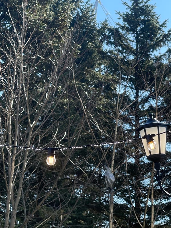 Outdoor lighting display spotted in Svetlogorsk park setting