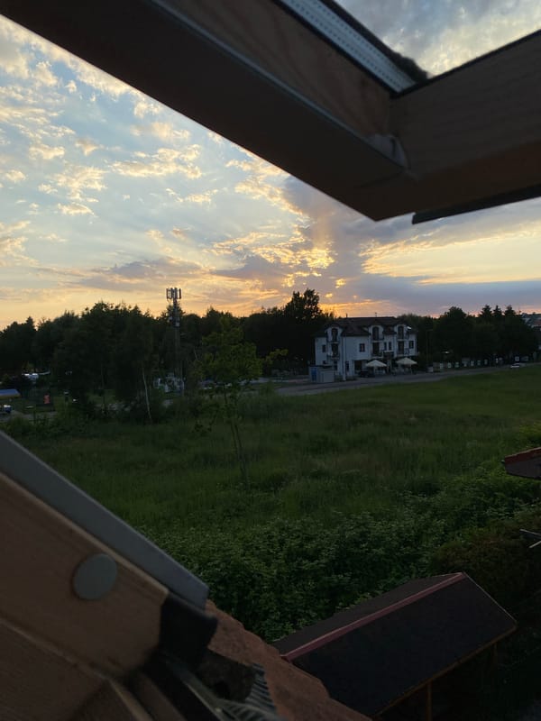 Golden hour walk with a Labrador in Grzybowo, Poland