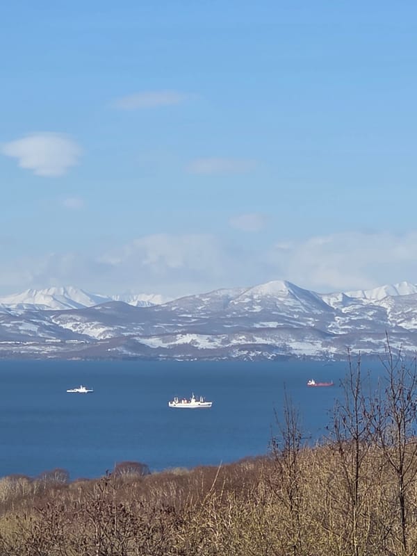 Coastal city with snow-capped mountains observed by witnesses