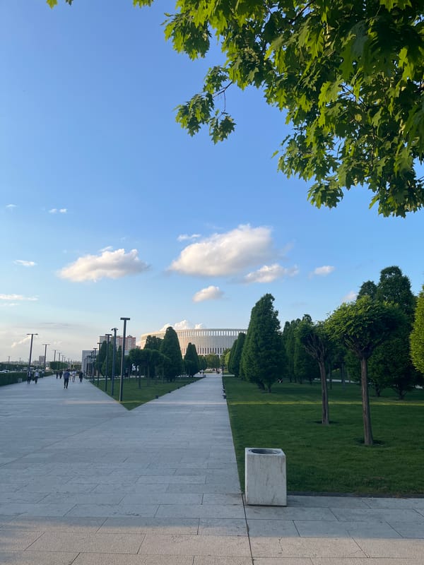 Pedestrians stroll tree-lined walkway in Krasnodar under overcast skies