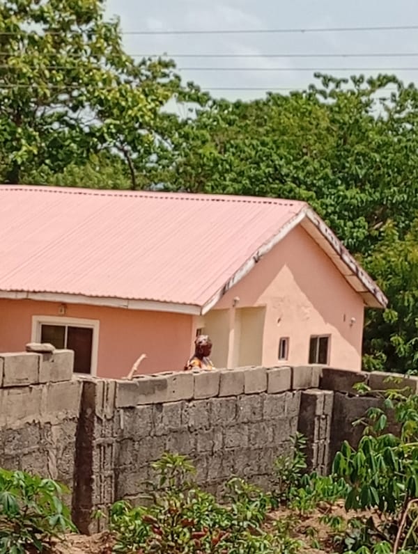 Morning life documented around pink-roofed houses in rural community