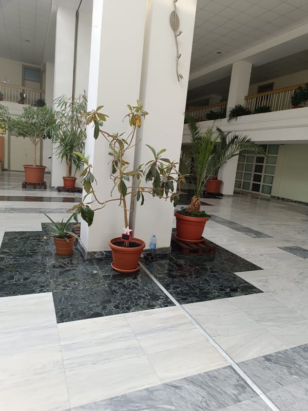 Indoor building scenes documented in Sofia including lobby and classroom